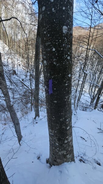 Prahova, Langa barajul Doftana, Tesila