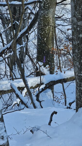 Prahova, Langa barajul Doftana, Tesila