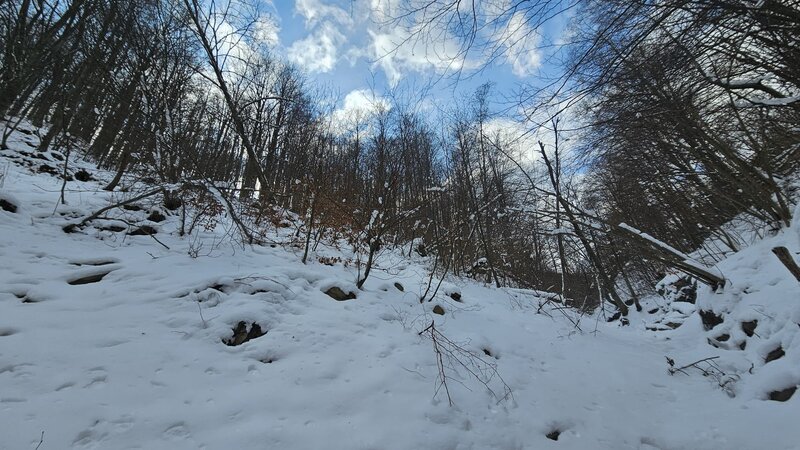 Prahova, Langa barajul Doftana, Tesila